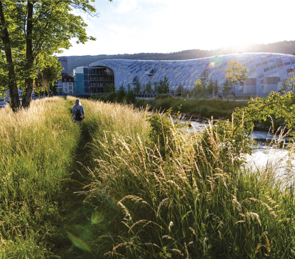 0 Header Oeko-Biodiversitaet