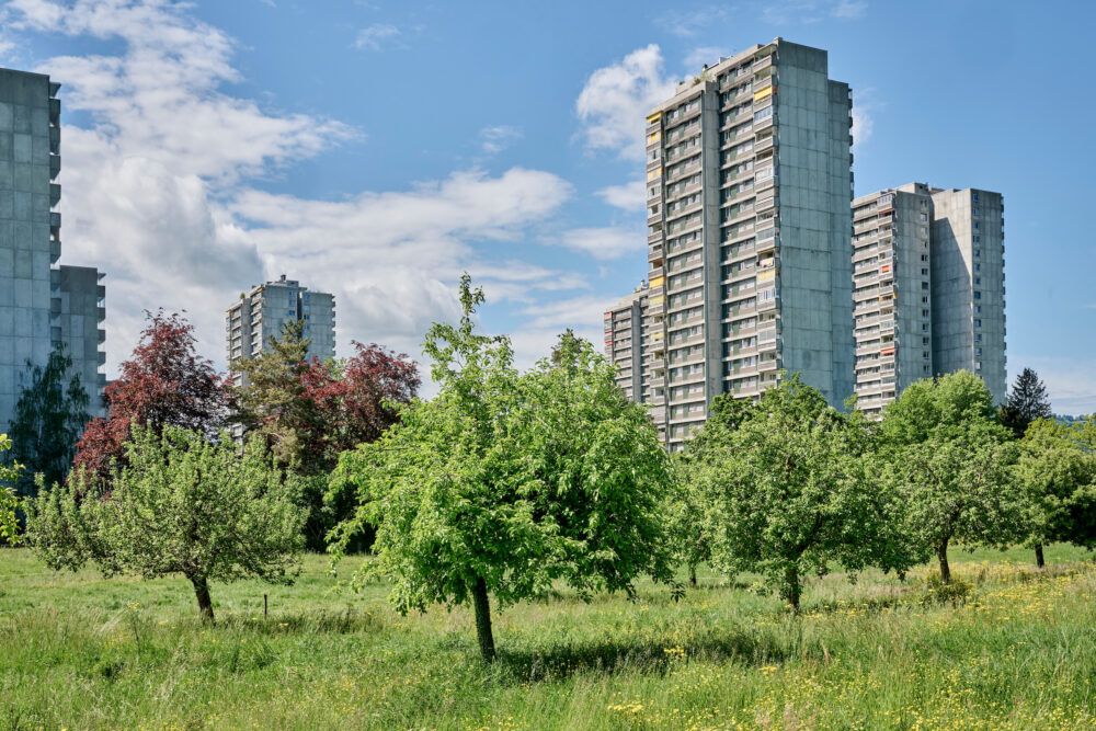 1 Fokusraum Bern Ost